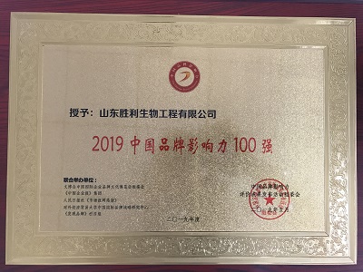ZS-14 2019中国品牌影响力100强.jpg