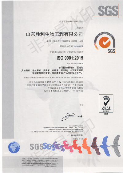 ISO9001中文版_00.png