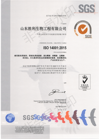 ISO14001中文版_00.png